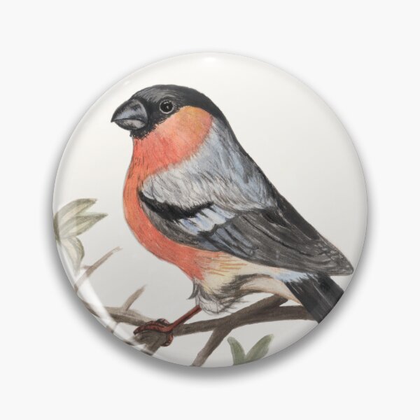 Item preview, Eurasian bullfinch bird designed and sold by savousepate.