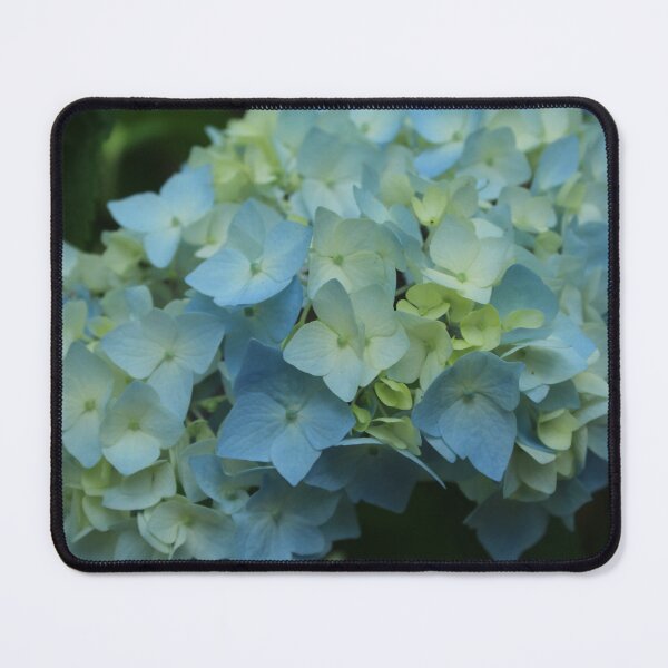 Item preview, White and light blue Hydrangea Bloom | Soft Botanical Floral Photography designed and sold by Cha-s-lens.