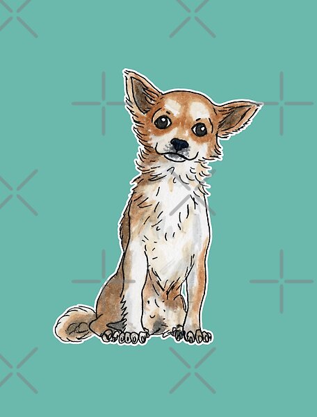 Long hair chihuahua by savousepate | Redbubble