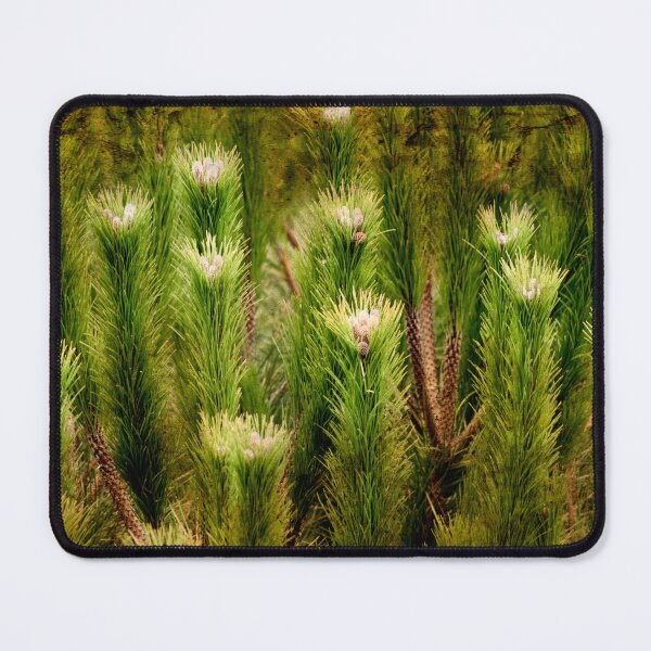 Item preview, lamps...pine trees designed and sold by Tereza Pilar  Art.