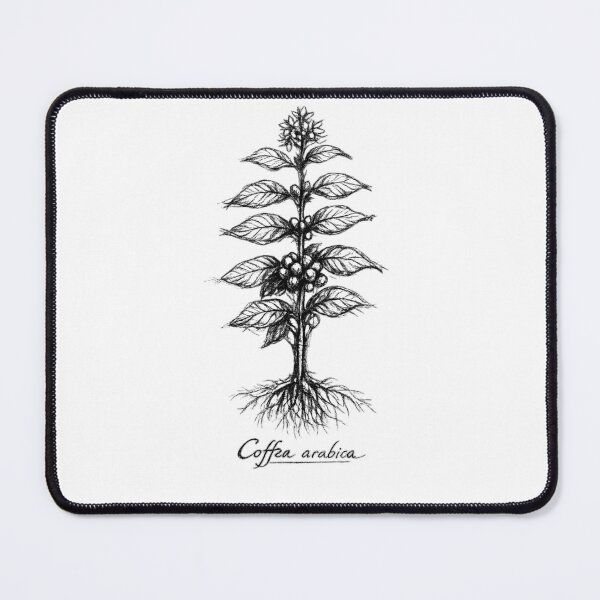 Item preview, Vintage Botanical Charcoal Sketch – Coffee Plant Illustration | Antique Monastic Herbarium Drawing | Nature Study Art designed and sold by Cavalier-org.