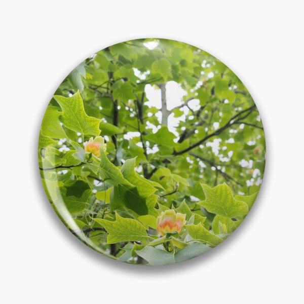 Item preview, Distinctive Yellow Orange Tulip Tree Flowers in Lush Green Canopy designed and sold by Georgia Mizuleva.
