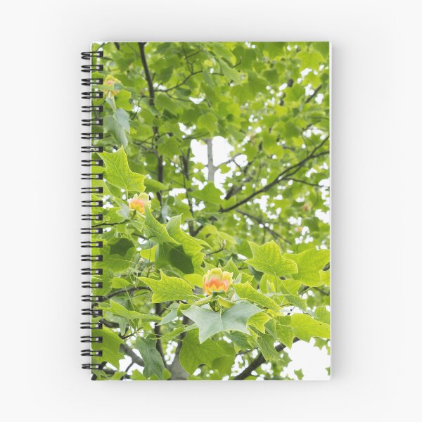 Item preview, Distinctive Yellow Orange Tulip Tree Flowers in Lush Green Canopy designed and sold by Georgia Mizuleva.