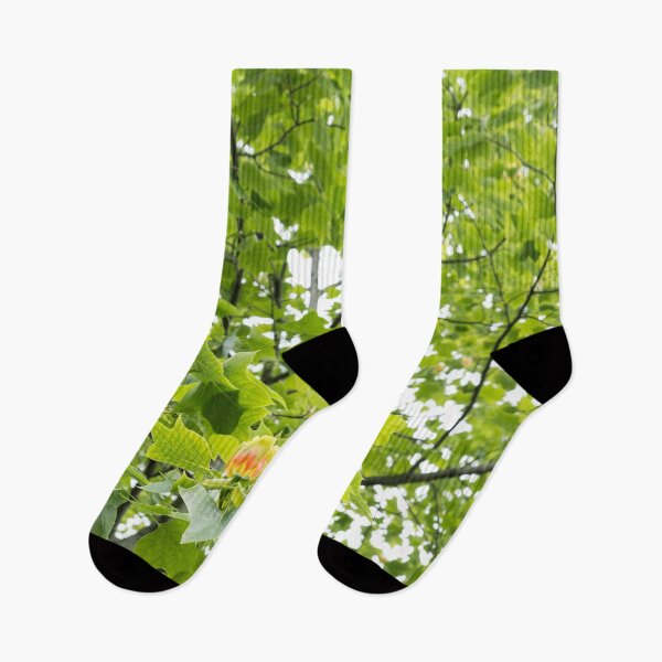 Item preview, Distinctive Yellow Orange Tulip Tree Flowers in Lush Green Canopy designed and sold by Georgia Mizuleva.