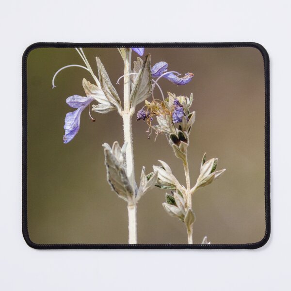 Item preview, urple Wildflower Salvia Stem With Delicate Blooms Against Soft Brown Bokeh Background designed and sold by Nmallia.