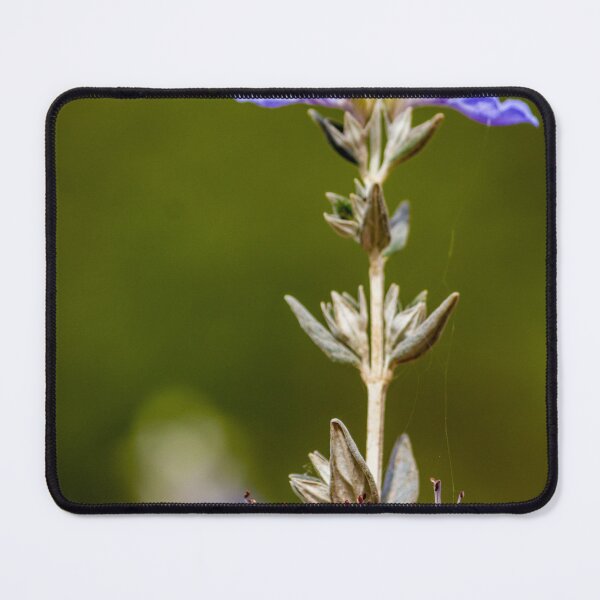 Item preview, Purple Wildflower Salvia Stem With Delicate Blooms Against Soft Brown Bokeh Background designed and sold by Nmallia.
