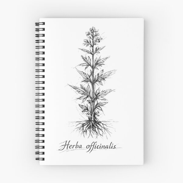 Item preview, Vintage Botanical Charcoal Sketch – Wild Plant Illustration | Antique Monastic Herbarium Drawing | Nature Study Art designed and sold by Cavalier-org.