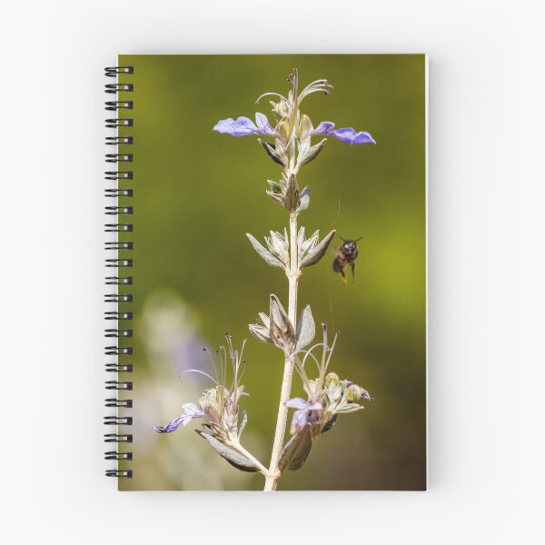 Item preview, Macro Shot Of Purple Wildflower With Bee In Flight On Soft Green Background designed and sold by Nmallia.