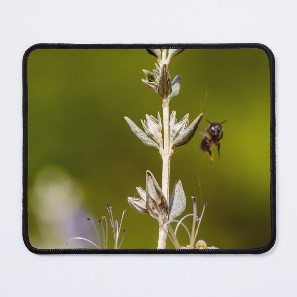 Item preview, Macro Shot Of Purple Wildflower With Bee In Flight On Soft Green Background designed and sold by Nmallia.