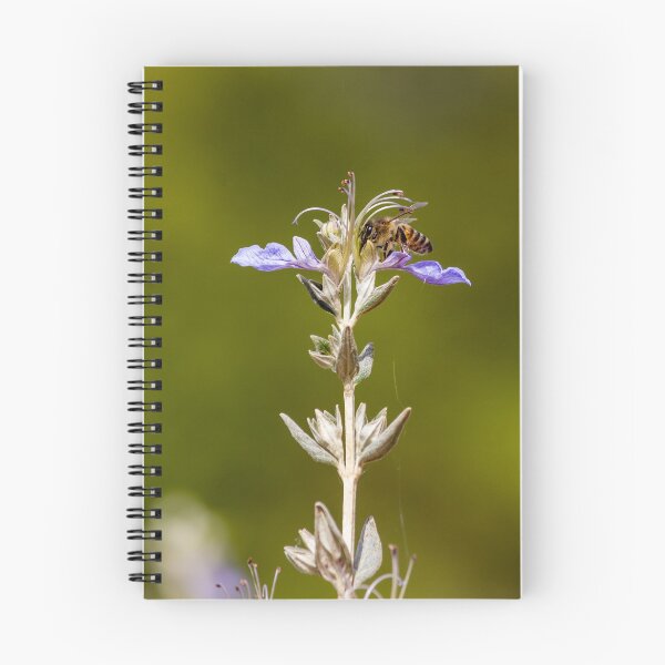 Item preview, Macro Shot Of Purple Wildflower With Bee In Flight On Soft Green Background designed and sold by Nmallia.