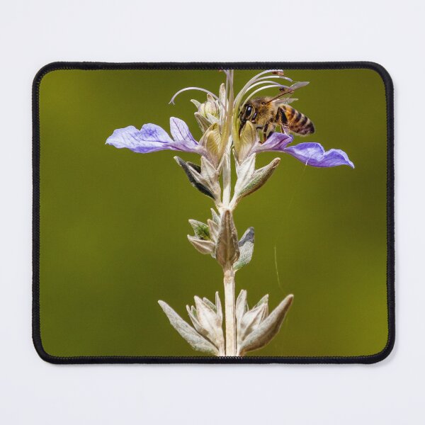 Item preview, Macro Shot Of Purple Wildflower With Bee In Flight On Soft Green Background designed and sold by Nmallia.