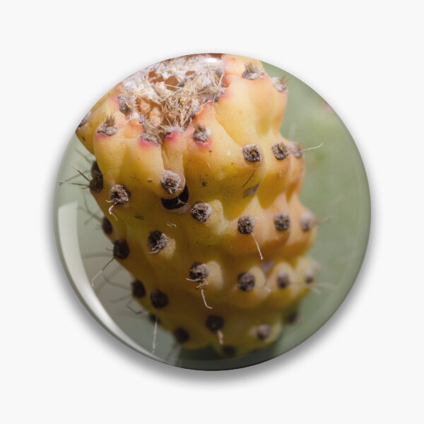 Item preview, Prickly Pear Cactus Fruit Close-Up Showing Yellow Orange Glochids and Textured Surface designed and sold by Nmallia.