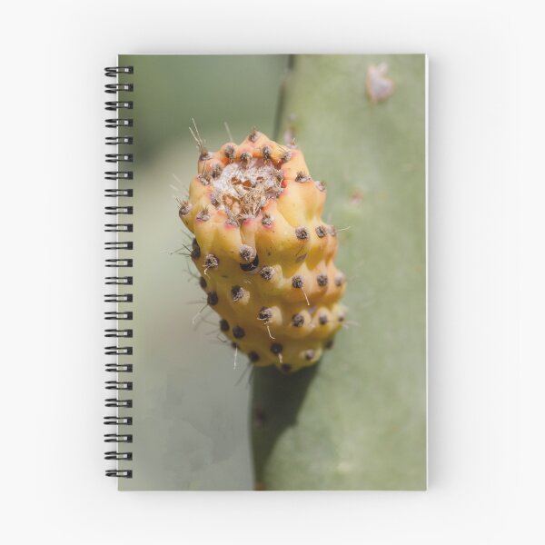 Item preview, Prickly Pear Cactus Fruit Close-Up Showing Yellow Orange Glochids and Textured Surface designed and sold by Nmallia.