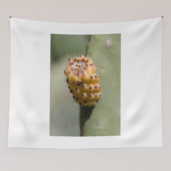 Item preview, Prickly Pear Cactus Fruit Close-Up Showing Yellow Orange Glochids and Textured Surface designed and sold by Nmallia.