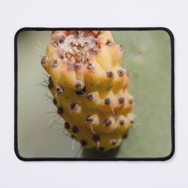 Item preview, Prickly Pear Cactus Fruit Close-Up Showing Yellow Orange Glochids and Textured Surface designed and sold by Nmallia.