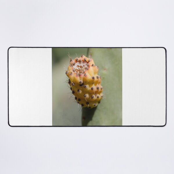 Item preview, Prickly Pear Cactus Fruit Close-Up Showing Yellow Orange Glochids and Textured Surface designed and sold by Nmallia.