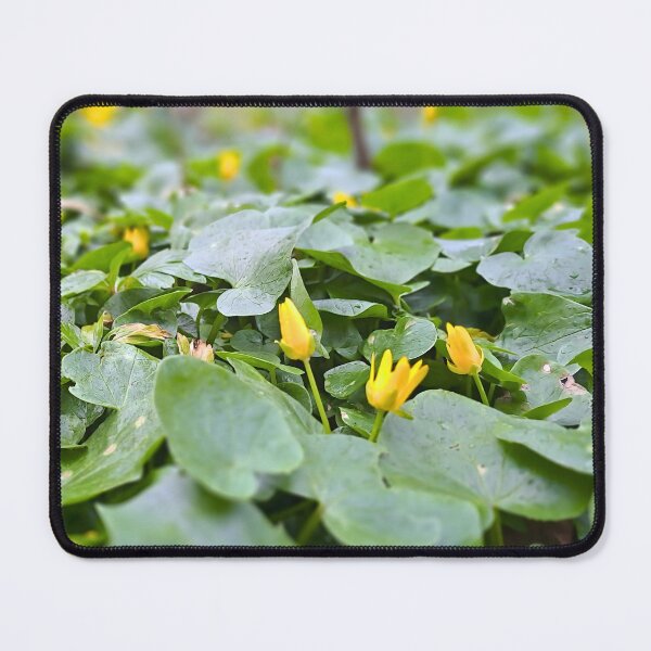 Artikelvorschau, Waldblumen – Botanische Naturfotografie entworfen und verkauft von MSMPrintDesign.