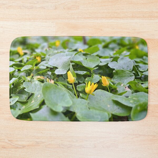 Item preview, Forest Wildflowers – Botanical Nature Photography designed and sold by MSMPrintDesign.
