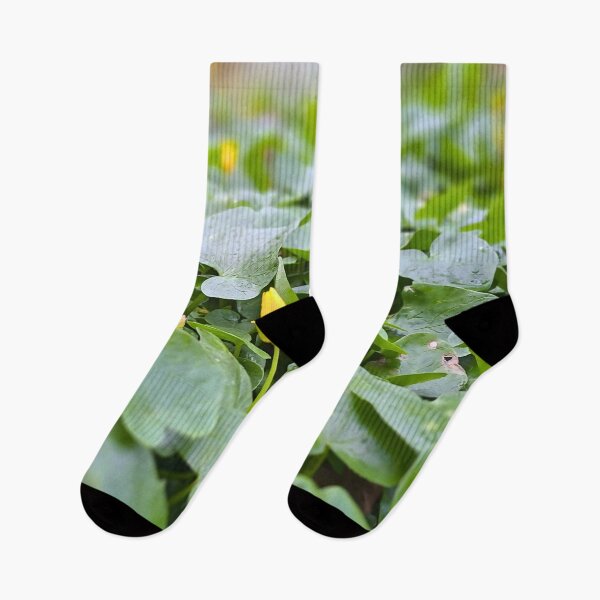 Item preview, Forest Wildflowers – Botanical Nature Photography designed and sold by MSMPrintDesign.