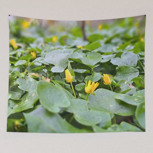 Item preview, Forest Wildflowers – Botanical Nature Photography designed and sold by MSMPrintDesign.