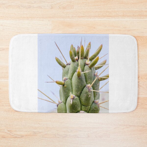 Item preview, Close-Up Green Cactus With New Growth and Sharp Spines Macro Desert Plant Texture designed and sold by Nmallia.