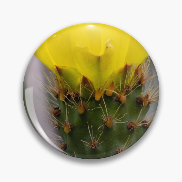 Item preview, Yellow Prickly Pear Cactus Flower Close-Up On Green Pad With Sharp Spines And Texture designed and sold by Nmallia.