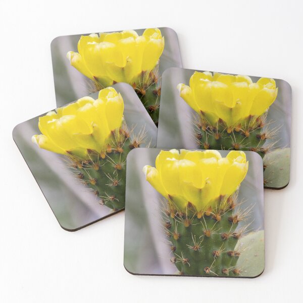 Item preview, Yellow Prickly Pear Cactus Flower Close-Up On Green Pad With Sharp Spines And Texture designed and sold by Nmallia.