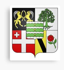 French France Coat of Arms 15973 Blason famille Nieffeln Schwyl und Bach Heim Goulmois Canvas Print
