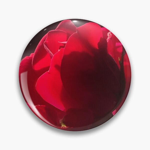 Item preview, Rose in the sun light, real photograph designed and sold by GiSilver.