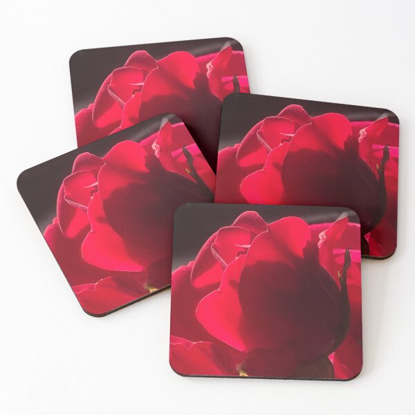 Item preview, Rose in the sun light, real photograph designed and sold by GiSilver.