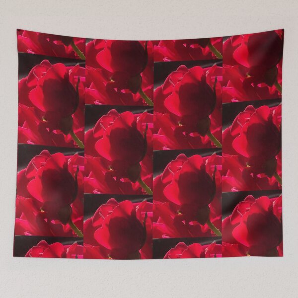 Item preview, Rose in the sun light, real photograph designed and sold by GiSilver.