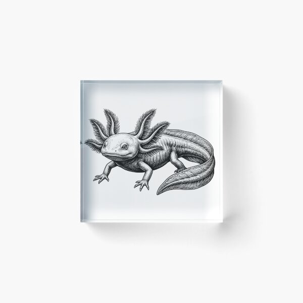 Item preview, Realistic bold line axolotl designed and sold by Minimalisticaly.