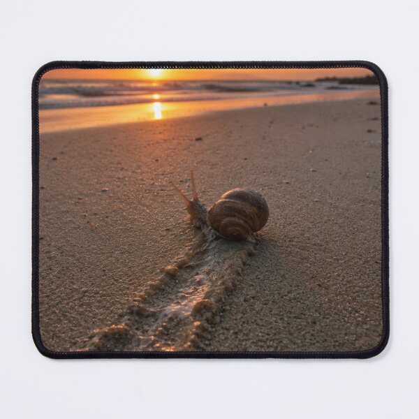 Item preview, Solitary Snail at Sunset designed and sold by JuViRo.