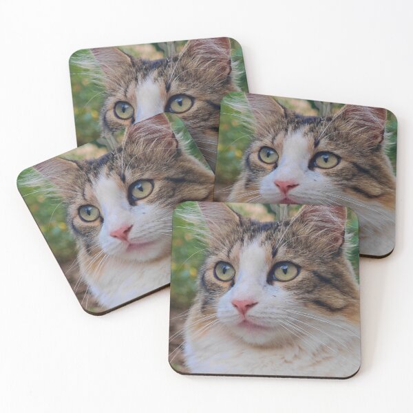 Item preview, Majestic Long-Haired Cat Portrait – Close-Up Cat Photography designed and sold by MB-CatPrints.