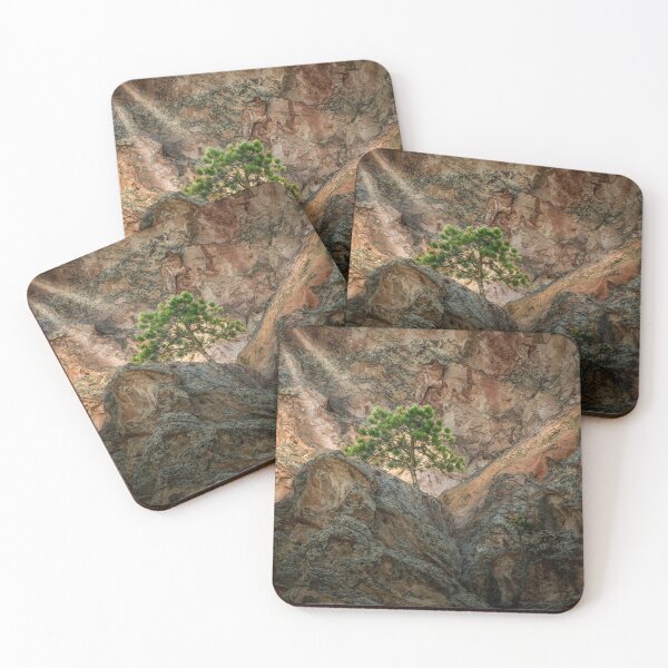 Item preview, Cleft of the Rock designed and sold by Steve Walser.