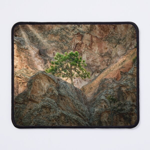 Item preview, Cleft of the Rock designed and sold by Steve Walser.