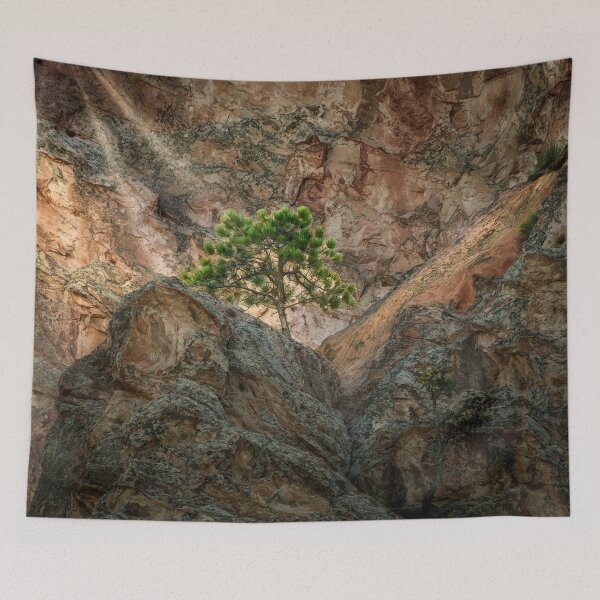 Item preview, Cleft of the Rock designed and sold by Steve Walser.