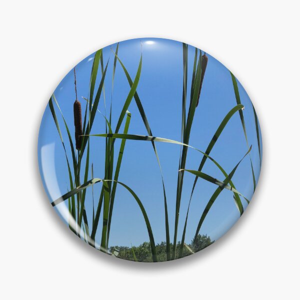 Item preview, More Cattails, REAL photograph designed and sold by GiSilver.