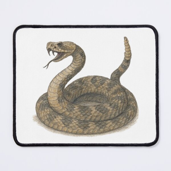 Item preview, Rattlesnake – realistic animal illustration designed and sold by JOANNASKAH.