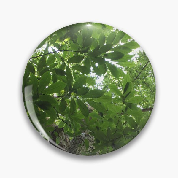 Item preview, Sunlit Forest Canopy and Ancient Tree designed and sold by pinkal.