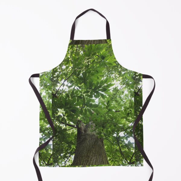 Item preview, Sunlit Forest Canopy and Ancient Tree designed and sold by pinkal.
