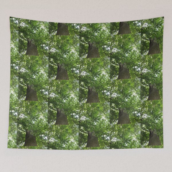 Item preview, Sunlit Forest Canopy and Ancient Tree designed and sold by pinkal.