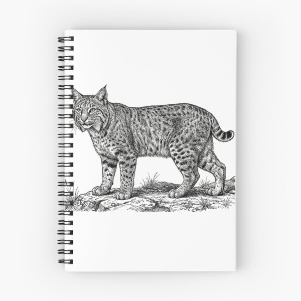 Item preview, Realistic fine line black and white bobcat designed and sold by Minimalisticaly.