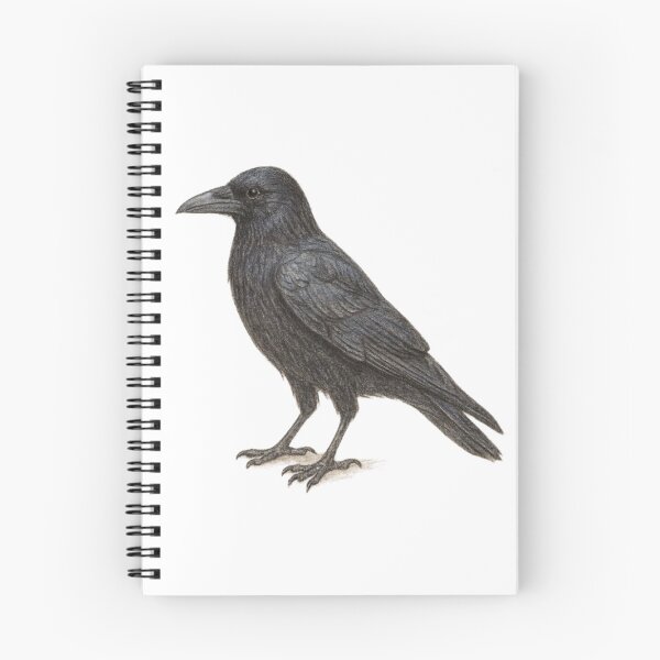Item preview, Carrion crow – animal illustration designed and sold by JOANNASKAH.