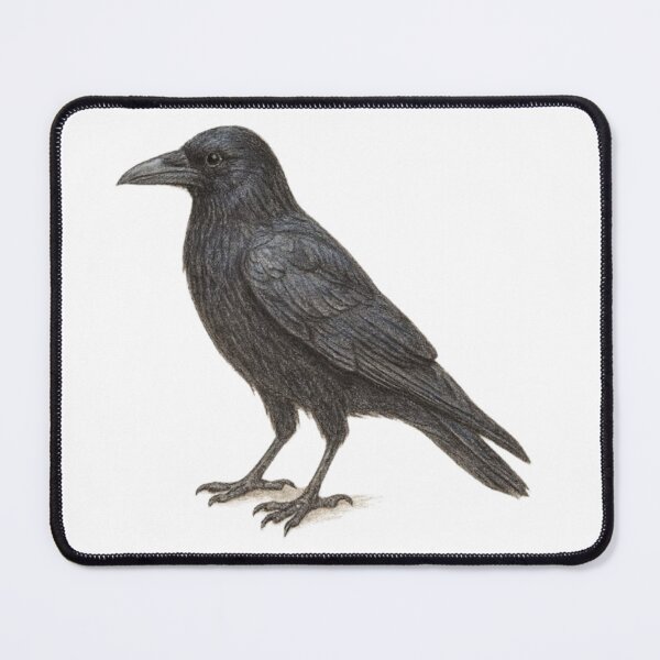 Item preview, Carrion crow – animal illustration designed and sold by JOANNASKAH.