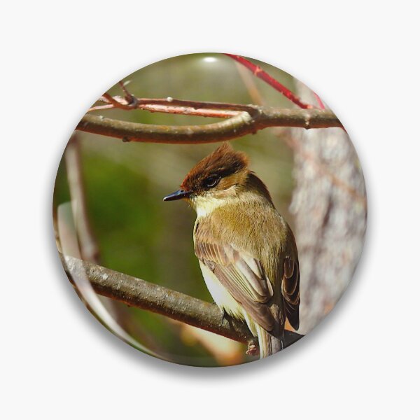 Item preview, Perched designed and sold by LinkinsLegion.
