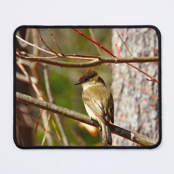Item preview, Perched designed and sold by LinkinsLegion.
