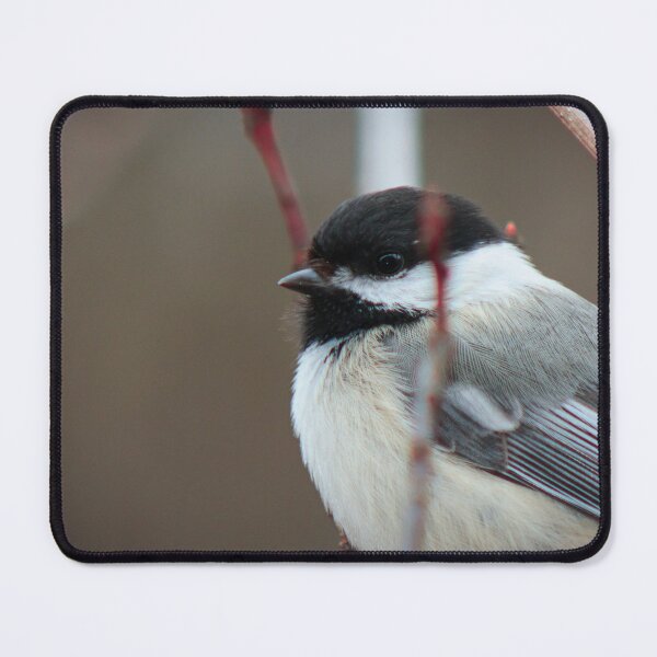 Item preview, Chickadee designed and sold by LinkinsLegion.
