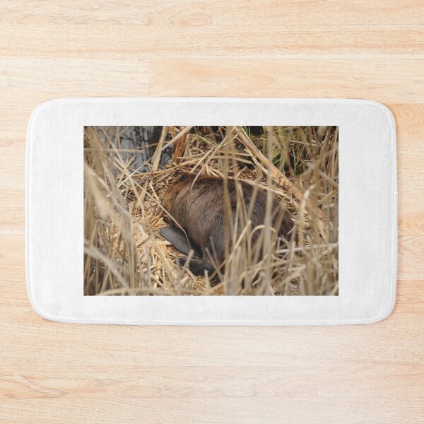 Item preview, Sleeping beaver designed and sold by Sometimes-store.