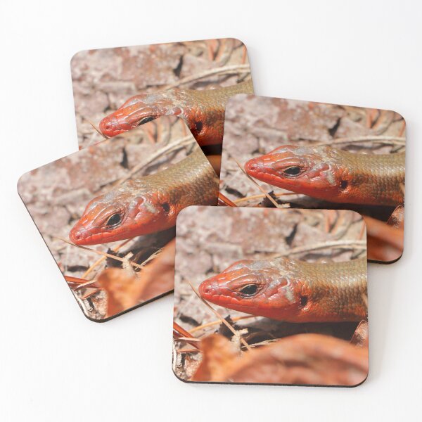 Item preview, Skink (Broad Head) designed and sold by Parks and X.